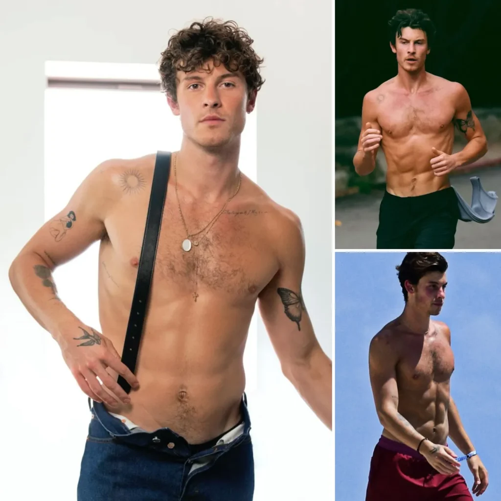 Does Shawn Mendes’ Six-Pack Prove He’s Obsessed With His Image? 1 Does Shawn Mendes’ Six-Pack Prove He’s Obsessed With His Image?
